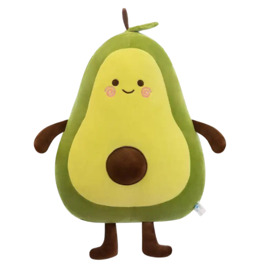 Avocado teddy online